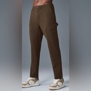 Like new! Alo Co-Op Carpenter Track cargo Pants in Expresso Sz 33L